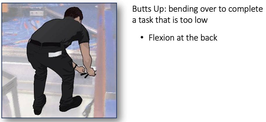 mceclip9.png